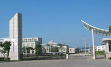 ��˾����